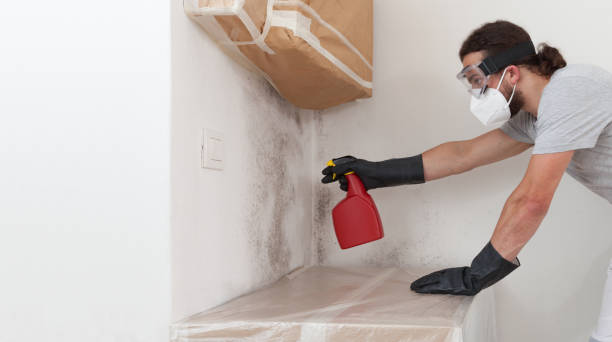 Professional Bathroom Mold Removal technician working in Salem, IL