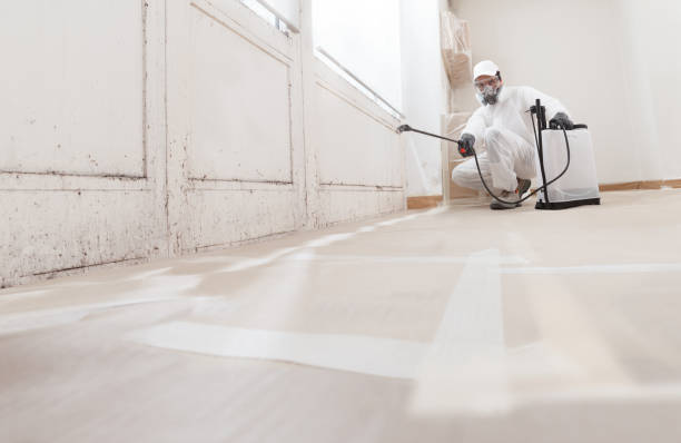 24/7 Emergency Bathroom Mold Removal experts in Salem, IL