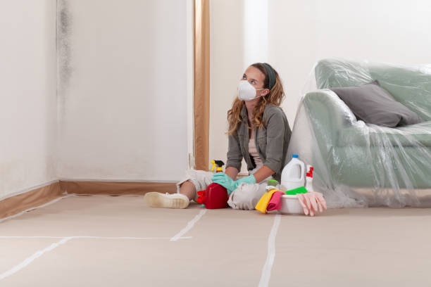 Reliable Bathroom Mold Removal contractor in Salem, IL by Mold Remediation HQ